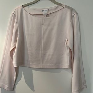 Club Monaco blush silk crop top